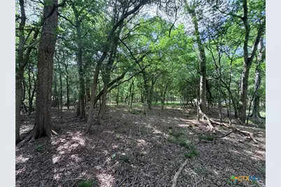 Tbd Fm 86, Luling, TX 78648 - Photo 21