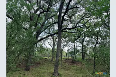 Tbd Fm 86, Luling, TX 78648 - Photo 13