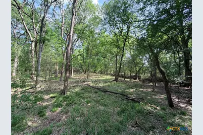 Tbd Fm 86, Luling, TX 78648 - Photo 15