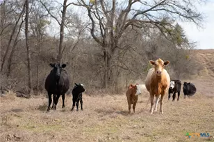 [Address not provided], Holland, TX 76534 - Photo 15