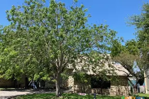 1603 W Lakeside Dr, Canyon Lake, TX 78133 - Photo 3