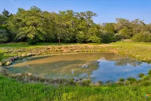 2095 Co Rd 442, Thrall, TX 76578 - Photo 29