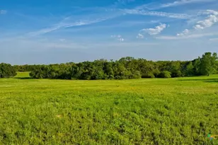 2095 Co Rd 442, Thrall, TX 76578 - Photo 21