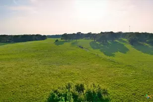 2095 Co Rd 442, Thrall, TX 76578 - Photo 3
