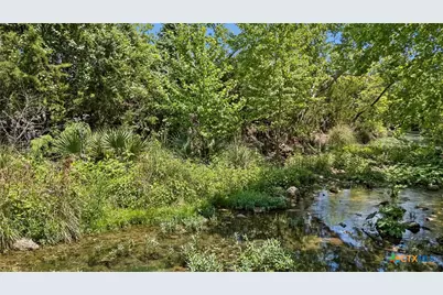 521 Rittimann Road, Spring Branch, TX 78070 - Photo 41