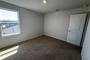 101 Tripoli Cv, Liberty Hill, TX 78642 - Photo 45