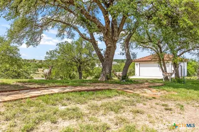 230 Dry Bear Creek, New Braunfels, TX 78132 - Photo 37