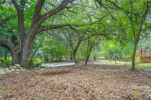 507 Twin Elm Dr, Canyon Lake, TX 78133 - Photo 37