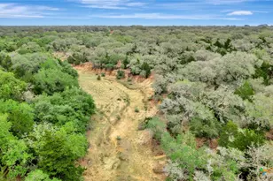 16297 State Hwy 111, Yoakum, TX 77995 - Photo 3