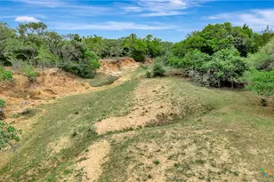 16297 State Hwy 111, Yoakum, TX 77995 - Photo 5