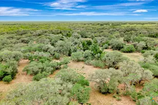16297 State Hwy 111, Yoakum, TX 77995 - Photo 11