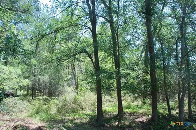 1048 Muehr Road, Weimar, TX 78962 - Photo 15