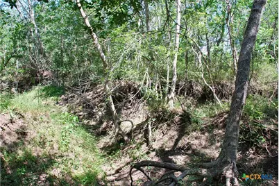 1048 Muehr Road, Weimar, TX 78962 - Photo 13