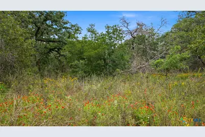 205 Sendera Crossing, La Vernia, TX 78121 - Photo 39