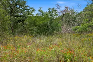 205 Sendera Crossing, La Vernia, TX 78121 - Photo 39