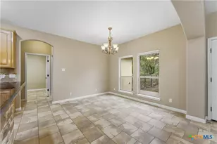 205 Sendera Crossing, La Vernia, TX 78121 - Photo 17