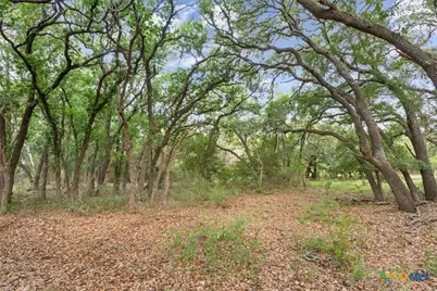 Tbd Cottonwood Mesa Drive, Kempner, TX 76539 - Photo 9