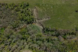 303 Lcr 626, Groesbeck, TX 76642 - Photo 3