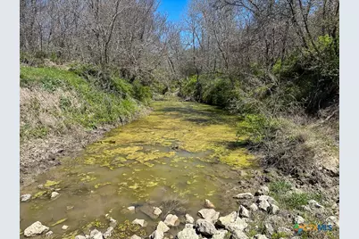 303 Lcr 626, Groesbeck, TX 76642 - Photo 15