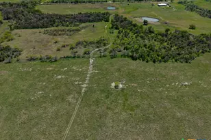 303 Lcr 626, Groesbeck, TX 76642 - Photo 9