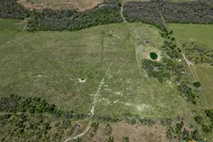 303 Lcr 626, Groesbeck, TX 76642 - Photo 25