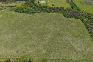 303 Lcr 626, Groesbeck, TX 76642 - Photo 31