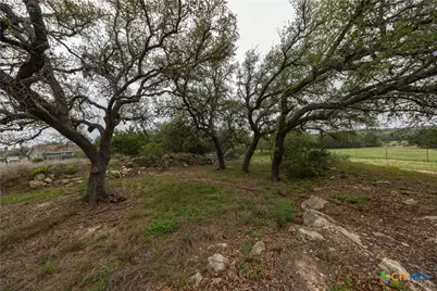 1645 Agarita Drive, Fischer, TX 78623 - Photo 9