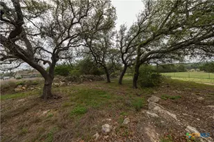 1645 Agarita Dr, Fischer, TX 78623 - Photo 9