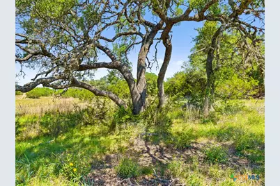 163 N Stallion Estates Drive, Spring Branch, TX 78070 - Photo 9