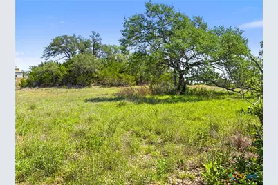 163 N Stallion Estates Drive, Spring Branch, TX 78070 - Photo 3