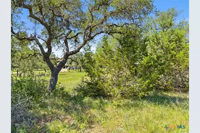 163 N Stallion Estates Drive, Spring Branch, TX 78070 - Photo 7