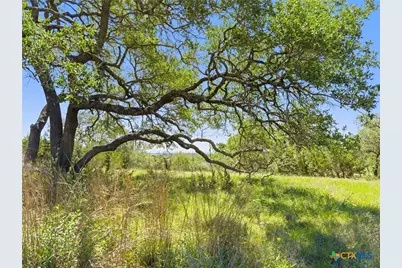 163 N Stallion Estates Drive, Spring Branch, TX 78070 - Photo 15