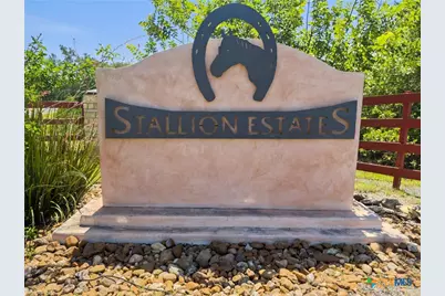 163 N Stallion Estates Drive, Spring Branch, TX 78070 - Photo 31