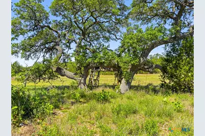 163 N Stallion Estates Drive, Spring Branch, TX 78070 - Photo 1