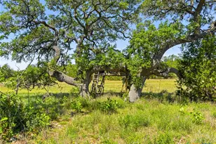 163 N Stallion Ests Dr, Spring Branch, TX 78070 - Photo 1