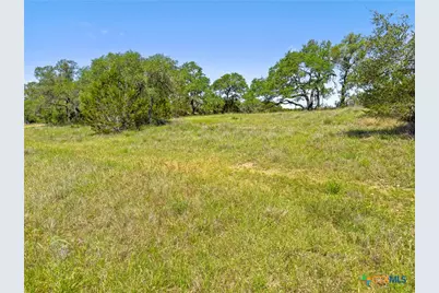 163 N Stallion Estates Drive, Spring Branch, TX 78070 - Photo 11