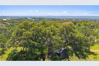 163 N Stallion Estates Drive, Spring Branch, TX 78070 - Photo 25