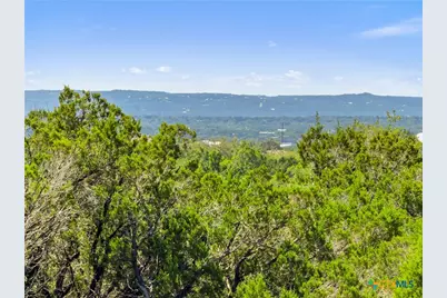 163 N Stallion Estates Drive, Spring Branch, TX 78070 - Photo 13