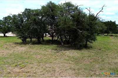 8119 Haley Court, Salado, TX 76571 - Photo 5