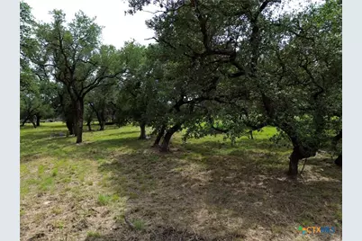 8119 Haley Court, Salado, TX 76571 - Photo 7