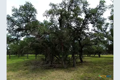 8119 Haley Court, Salado, TX 76571 - Photo 9