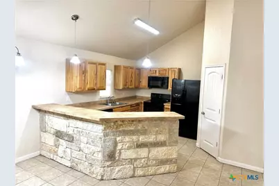 1439 Bonnyview Drive, Canyon Lake, TX 78133 - Photo 3
