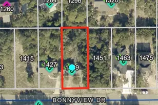1439 Bonnyview Dr, Canyon Lake, TX 78133 - Photo 23