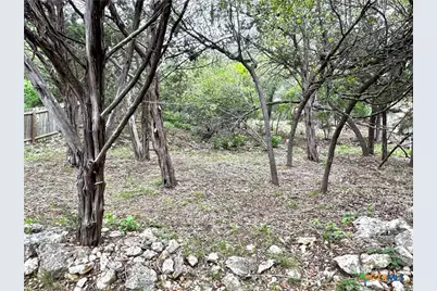 1439 Bonnyview Drive, Canyon Lake, TX 78133 - Photo 19