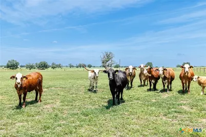 605 Fm 1682, Leesville, TX 78122 - Photo 25
