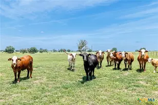 605 Fm 1682, Leesville, TX 78122 - Photo 25