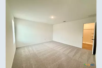 413 Moscato Road, New Braunfels, TX 78130 - Photo 13