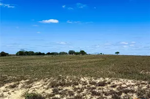1037 Co Rd 340, Shiner, TX 77984 - Photo 33