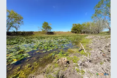 1037 County Road 340, Shiner, TX 77984 - Photo 3
