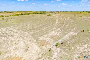 1037 Co Rd 340, Shiner, TX 77984 - Photo 9